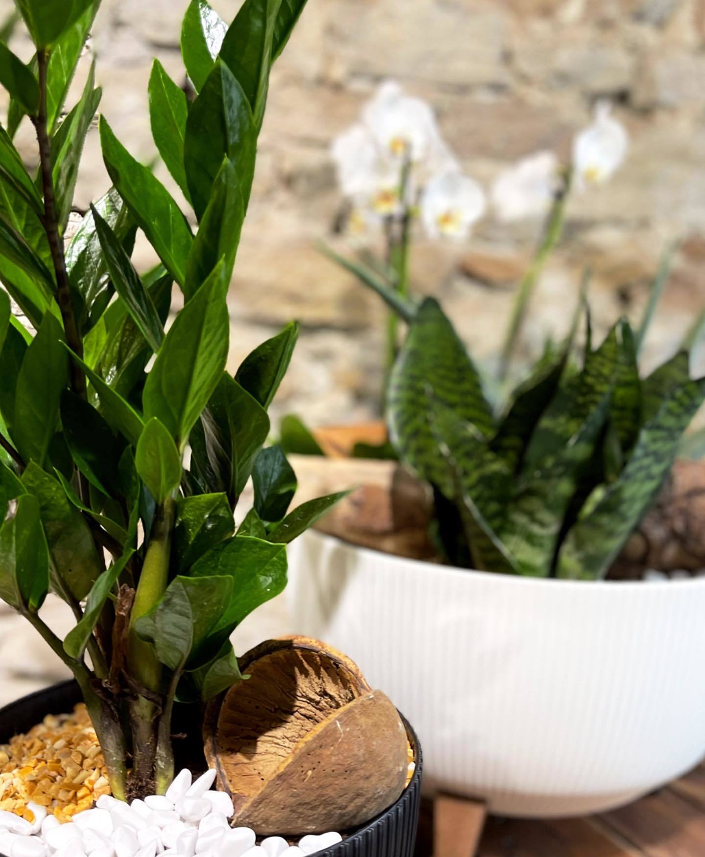 e6069df6148c2fa4d333c90e2cf638e5485c12b2 e6069df6148c2fa4d333c90e2cf638e5485c12b2