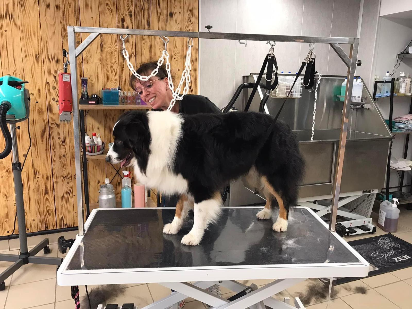 fb54959eb48ca0281fe393fc33ef004a3afd2a6b fb54959eb48ca0281fe393fc33ef004a3afd2a6b