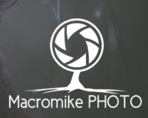 logomacromikePhoto MACROMIKE PHOTO